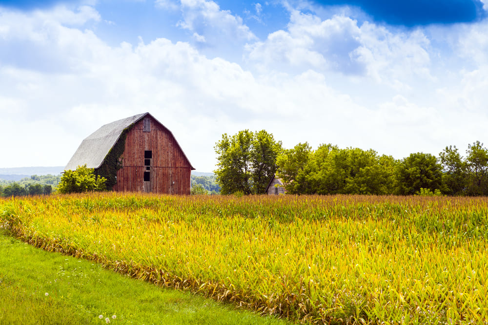 Texas Land for Sale, Farms, Ranches, Hunting Property